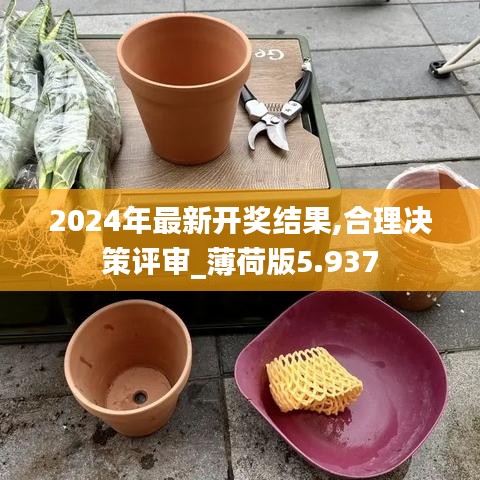 2024年最新开奖结果,合理决策评审_薄荷版5.937