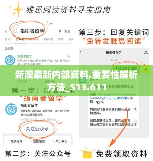 新澳最新内部资料,重要性解析方法_S13.611