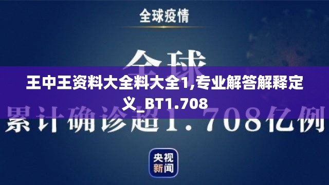 王中王资料大全料大全1,专业解答解释定义_BT1.708