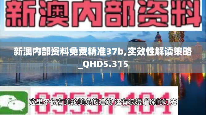新澳内部资料免费精准37b,实效性解读策略_QHD5.315