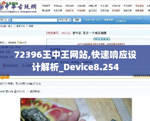72396王中王网站,快速响应设计解析_Device8.254
