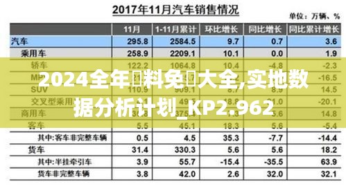 2024全年資料免費大全,实地数据分析计划_KP2.962