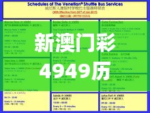 新澳门彩4949历史记录,稳定性策略设计_6DM1.693