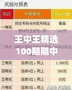 王中王精选100期期中奖规则,迅速落实计划解答_iPhone4.822