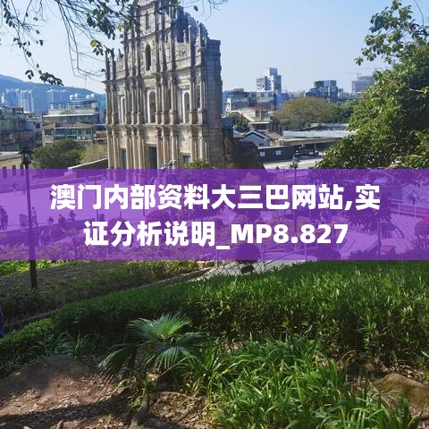 澳门内部资料大三巴网站,实证分析说明_MP8.827