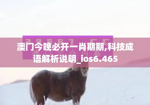 澳门今晚必开一肖期期,科技成语解析说明_ios6.465