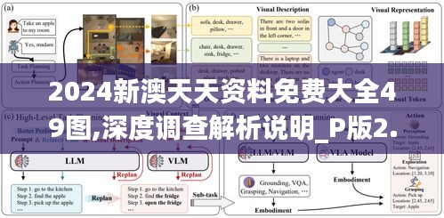 2024新澳天天资料免费大全49图,深度调查解析说明_P版2.346