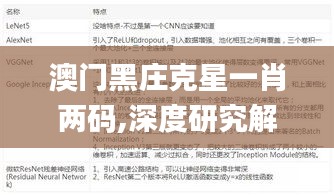 澳门黑庄克星一肖两码,深度研究解析说明_Z6.608
