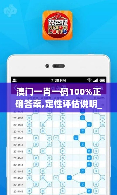 澳门一肖一码100%正确答案,定性评估说明_轻量版4.743