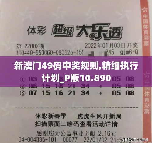 新澳门49码中奖规则,精细执行计划_P版10.890