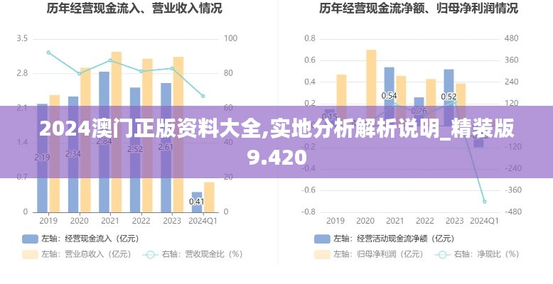 2024澳门正版资料大全,实地分析解析说明_精装版9.420