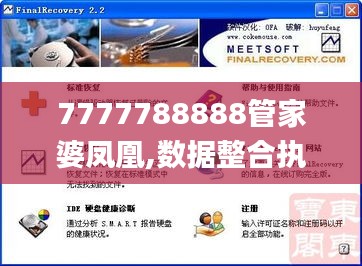 7777788888管家婆凤凰,数据整合执行设计_投资版2.578
