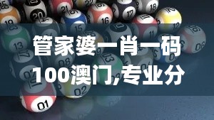 管家婆一肖一码100澳门,专业分析说明_CT2.971