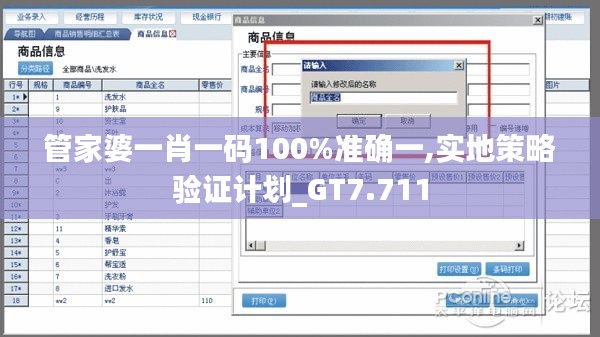 管家婆一肖一码100%准确一,实地策略验证计划_GT7.711