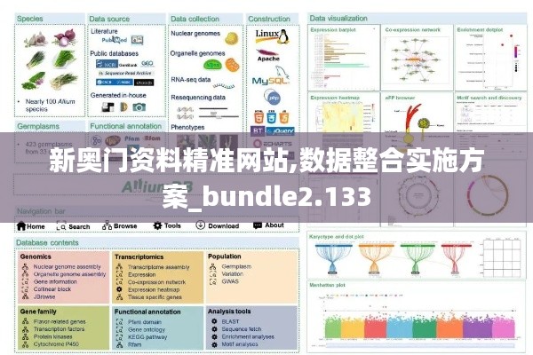 新奥门资料精准网站,数据整合实施方案_bundle2.133
