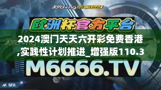 2024澳门天天六开彩免费香港,实践性计划推进_增强版110.381