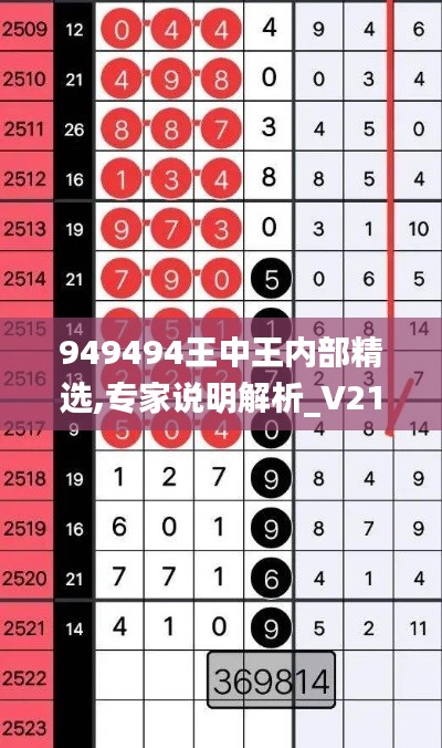 949494王中王内部精选,专家说明解析_V210.508