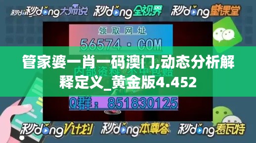 管家婆一肖一码澳门,动态分析解释定义_黄金版4.452