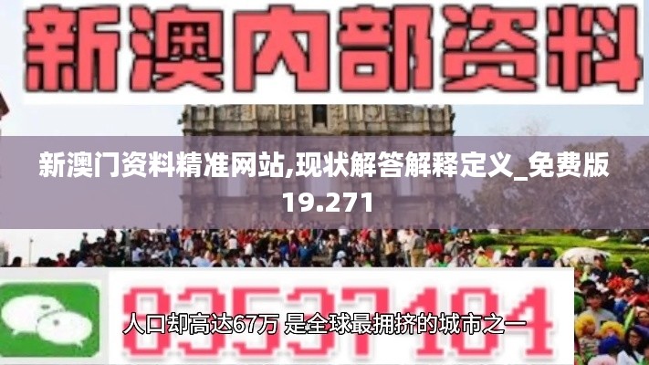 新澳门资料精准网站,现状解答解释定义_免费版19.271