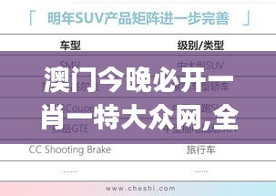 澳门今晚必开一肖一特大众网,全面评估解析说明_旗舰版5.959
