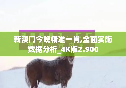 新澳门今晚精准一肖,全面实施数据分析_4K版2.900