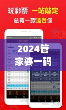 2024管家婆一码一肖资料,经典说明解析_pack196.805-7