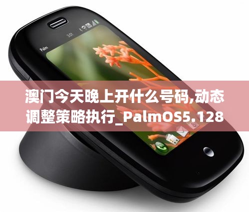 澳门今天晚上开什么号码,动态调整策略执行_PalmOS5.128