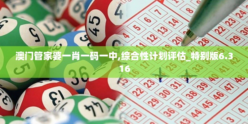 澳门管家婆一肖一码一中,综合性计划评估_特别版6.316