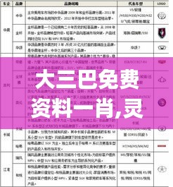 大三巴免费资料一肖,灵活性策略解析_精简版7.604