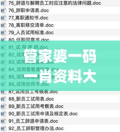管家婆一码一肖资料大全老人味,权威分析说明_定制版9.935