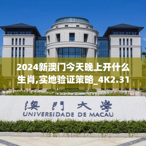 2024新澳门今天晚上开什么生肖,实地验证策略_4K2.311