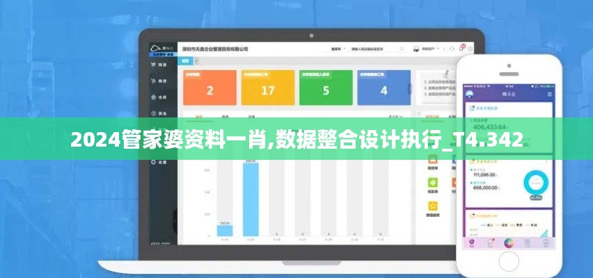2024管家婆资料一肖,数据整合设计执行_T4.342