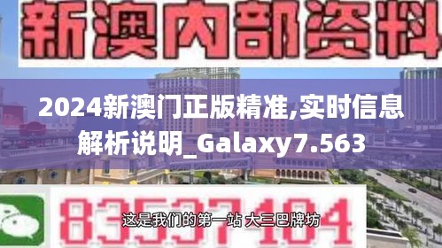 2024新澳门正版精准,实时信息解析说明_Galaxy7.563