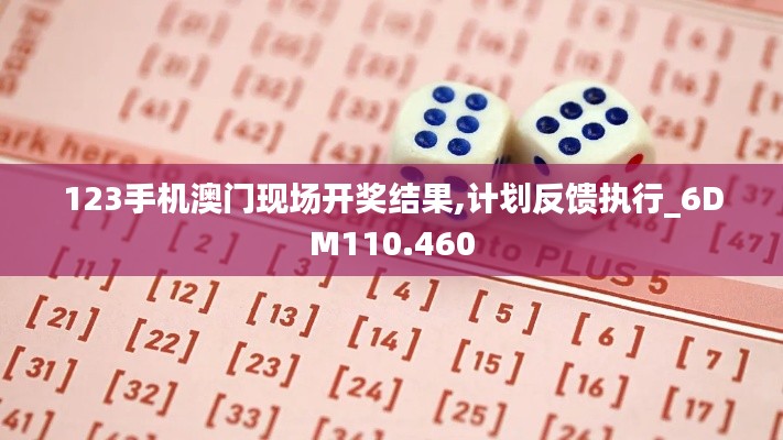 123手机澳门现场开奖结果,计划反馈执行_6DM110.460