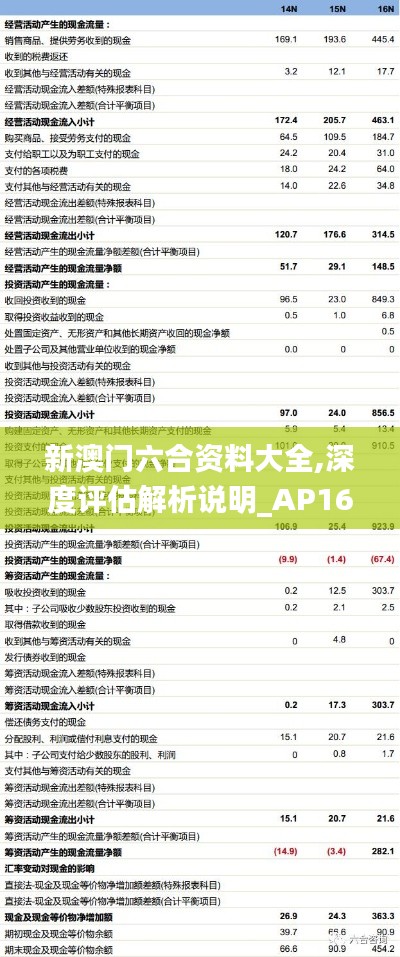 新澳门六合资料大全,深度评估解析说明_AP16.425
