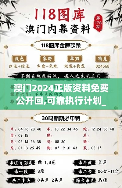 澳门2024正版资料免费公开回,可靠执行计划_3K11.651
