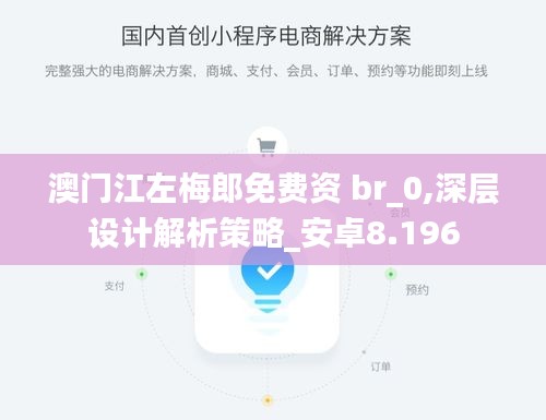 澳门江左梅郎免费资 br_0,深层设计解析策略_安卓8.196