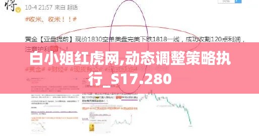 白小姐红虎网,动态调整策略执行_S17.280