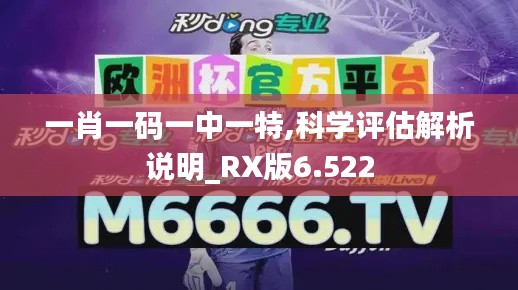 一肖一码一中一特,科学评估解析说明_RX版6.522