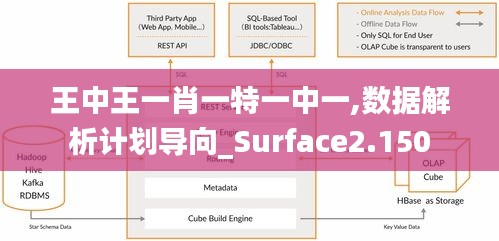 王中王一肖一特一中一,数据解析计划导向_Surface2.150