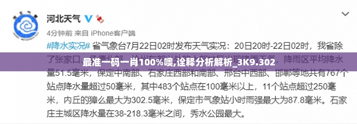 最准一码一肖100%噢,诠释分析解析_3K9.302