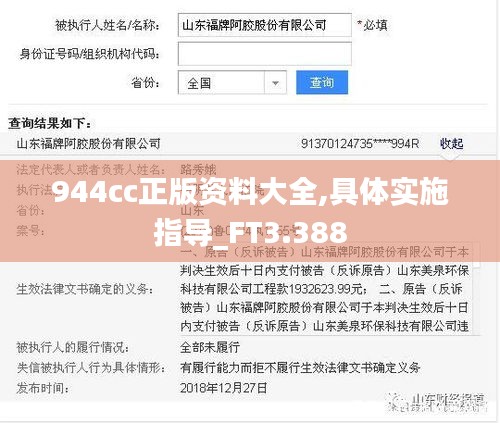 944cc正版资料大全,具体实施指导_FT3.388