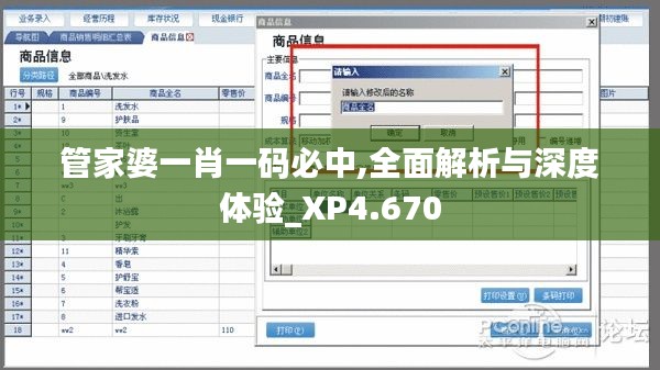 管家婆一肖一码必中,全面解析与深度体验_XP4.670