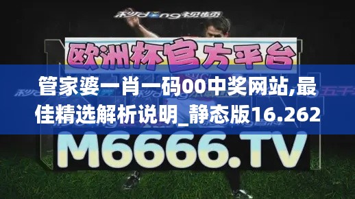 管家婆一肖一码00中奖网站,最佳精选解析说明_静态版16.262
