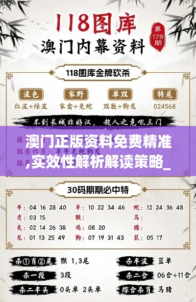 澳门正版资料免费精准,实效性解析解读策略_专属款18.217