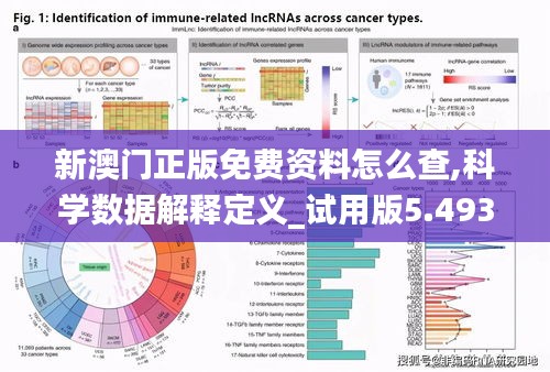 新澳门正版免费资料怎么查,科学数据解释定义_试用版5.493
