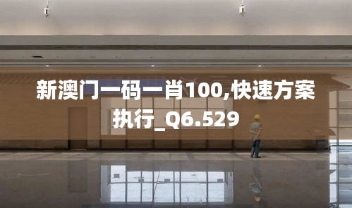 新澳门一码一肖100,快速方案执行_Q6.529