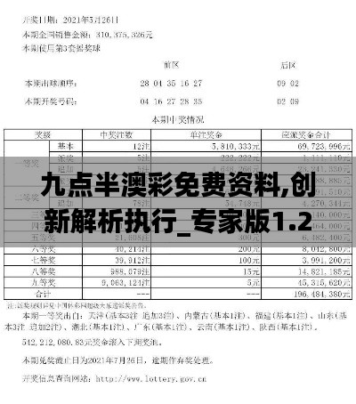 九点半澳彩免费资料,创新解析执行_专家版1.202