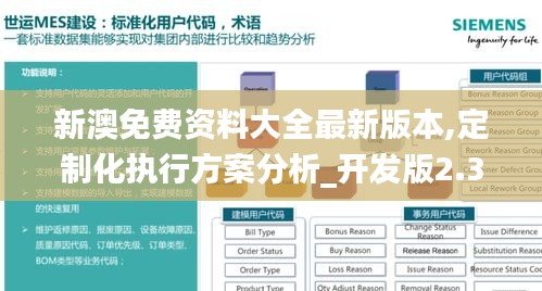 新澳免费资料大全最新版本,定制化执行方案分析_开发版2.347
