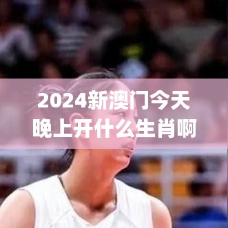 2024新澳门今天晚上开什么生肖啊,经典解读解析_网页款4.761